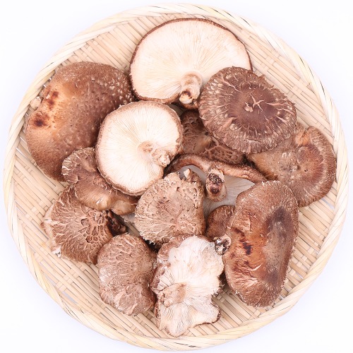 표고버섯,생표고버섯,생표고,국산표고버섯,백화고,흑화고,표고