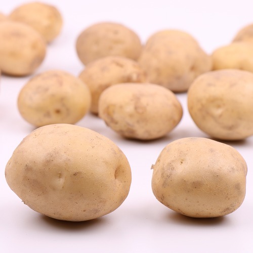 감자,수미감자,감자1kg,감자판매,하지감자,분감자