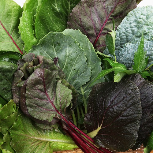 모듬 쌈채소 2kg 팔팔마켓 모둠 야채 쌈 채소 종류