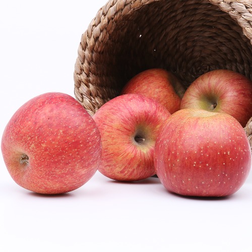 부사사과,부사,못난이사과,사과10kg,흠집사과,사과부사,못난이사과10kg,흠과사과,기스사과,부사사과10kg,사과판매